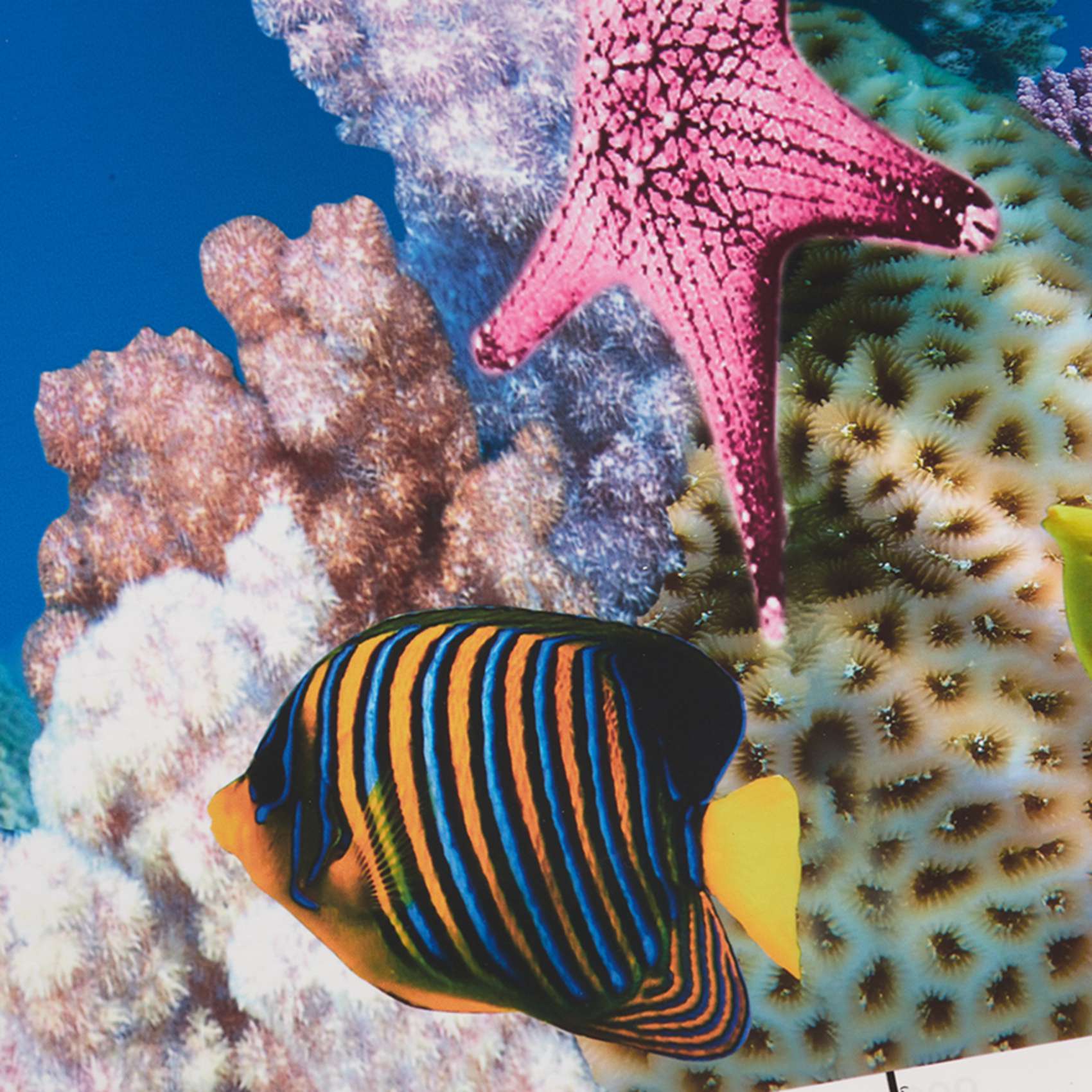 Fish In Aquarium Picture - ABWR-Aquarium Hintergrundpapier HD-Bild 7D Dreidimensionale Fischbecken-Tapete