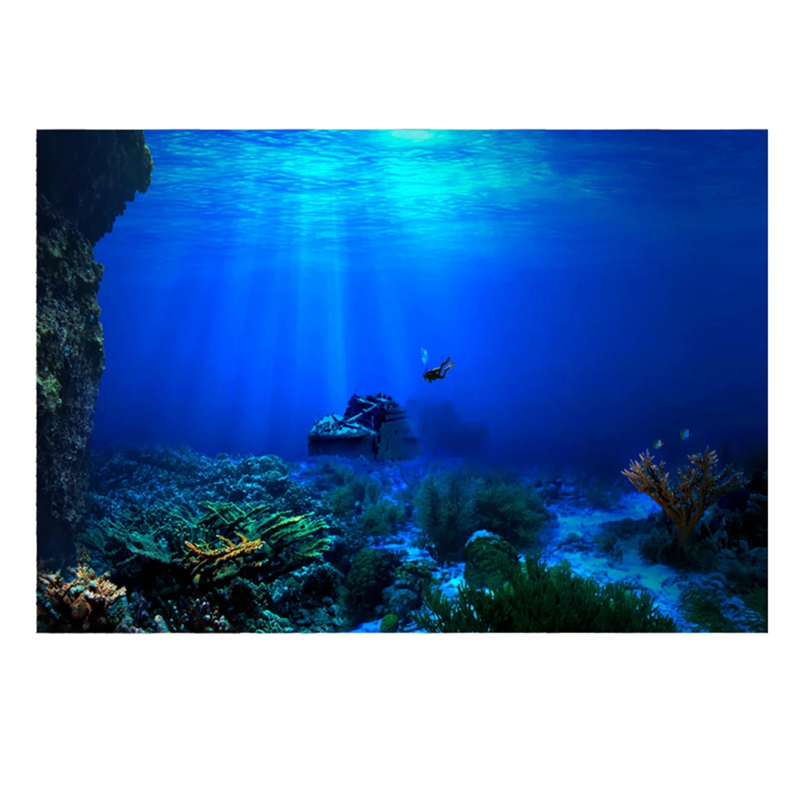 Fish In Aquarium Picture - Regenwald Aquarium Hintergrund Poster Aquarium Reptilien