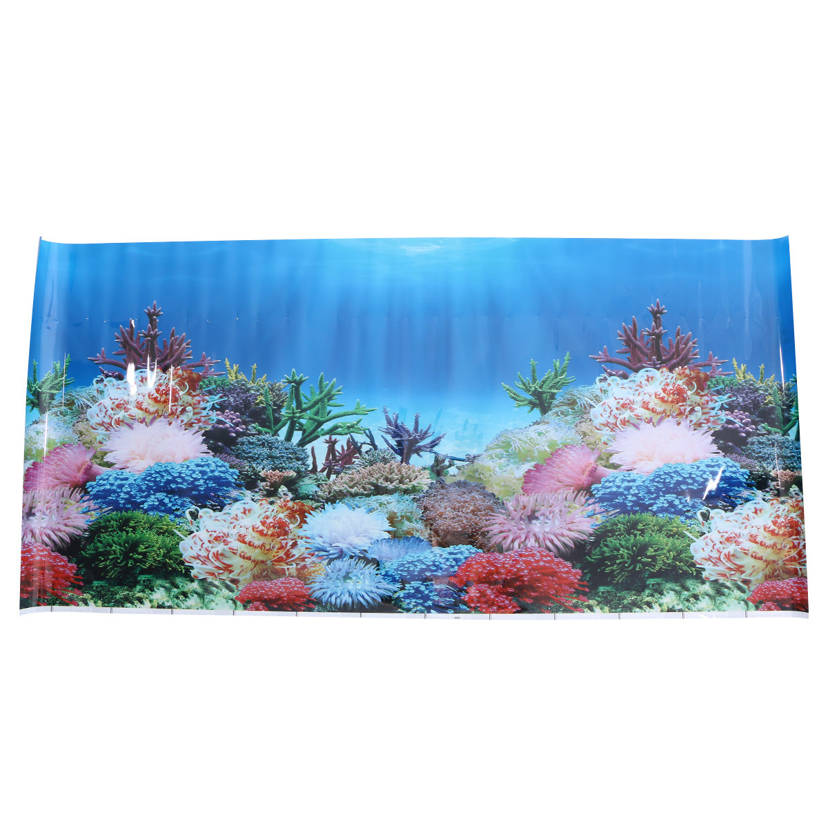 3D-Tapete Aquarium-Bild Hinter – Fish In Aquarium Picture Bewertung und Preis