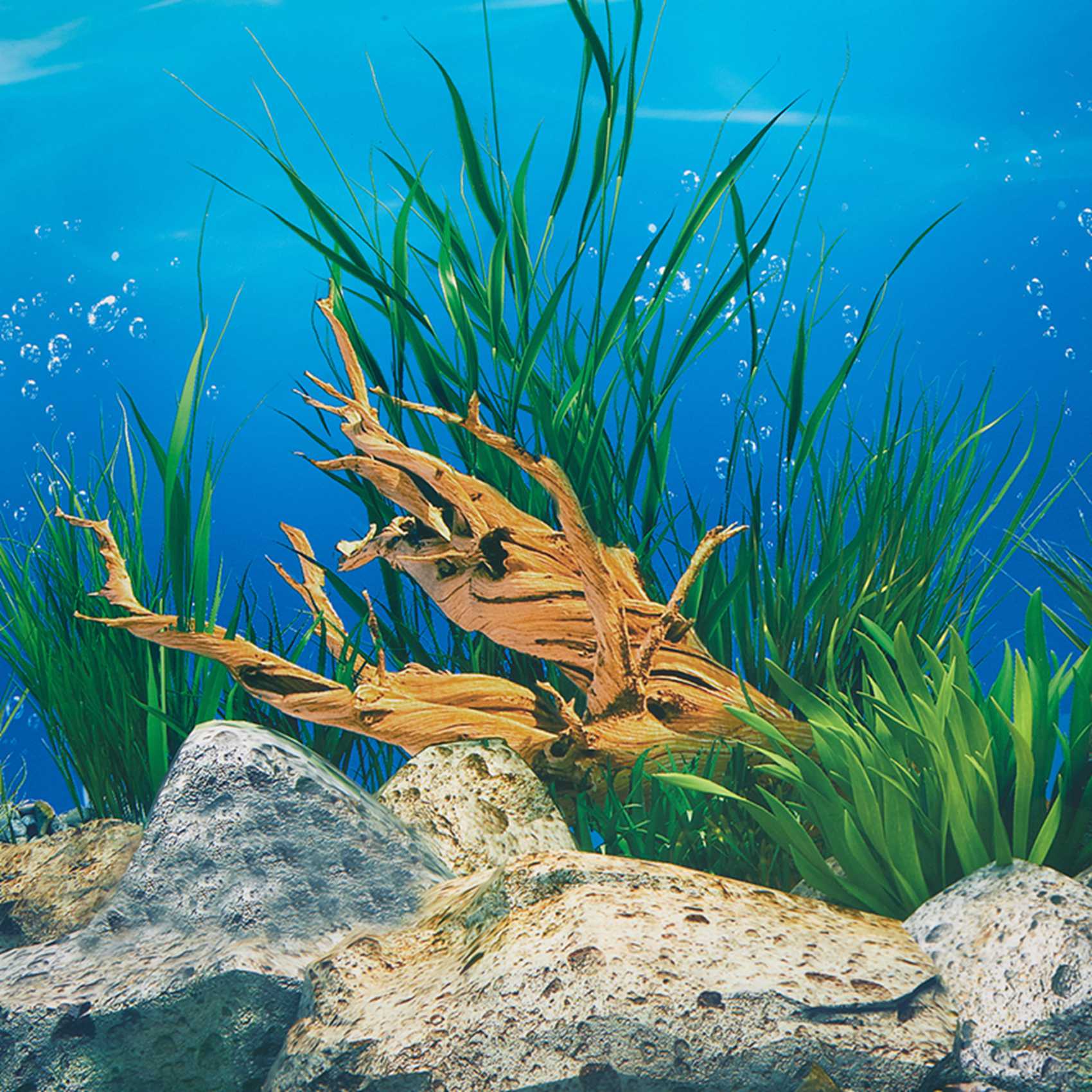 ABWR-Aquarium Hintergrundpapie – Fish In Aquarium Picture Bewertung und Preis