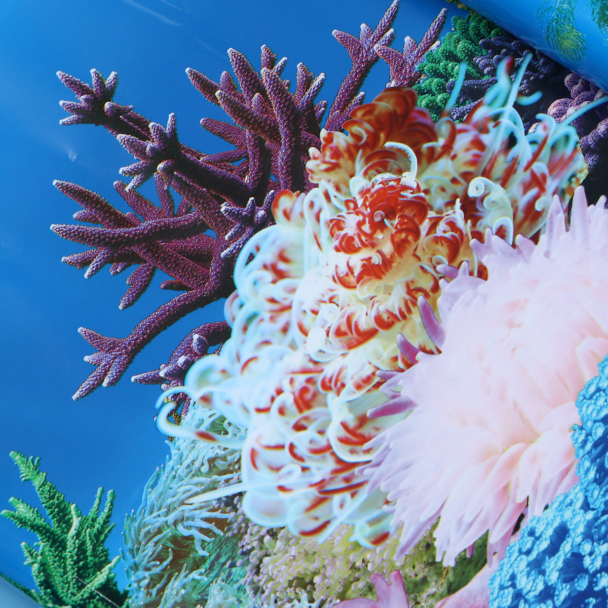 3D-Tapetenhintergründe für Aqu – Fish In Aquarium Picture Bewertung und Preis