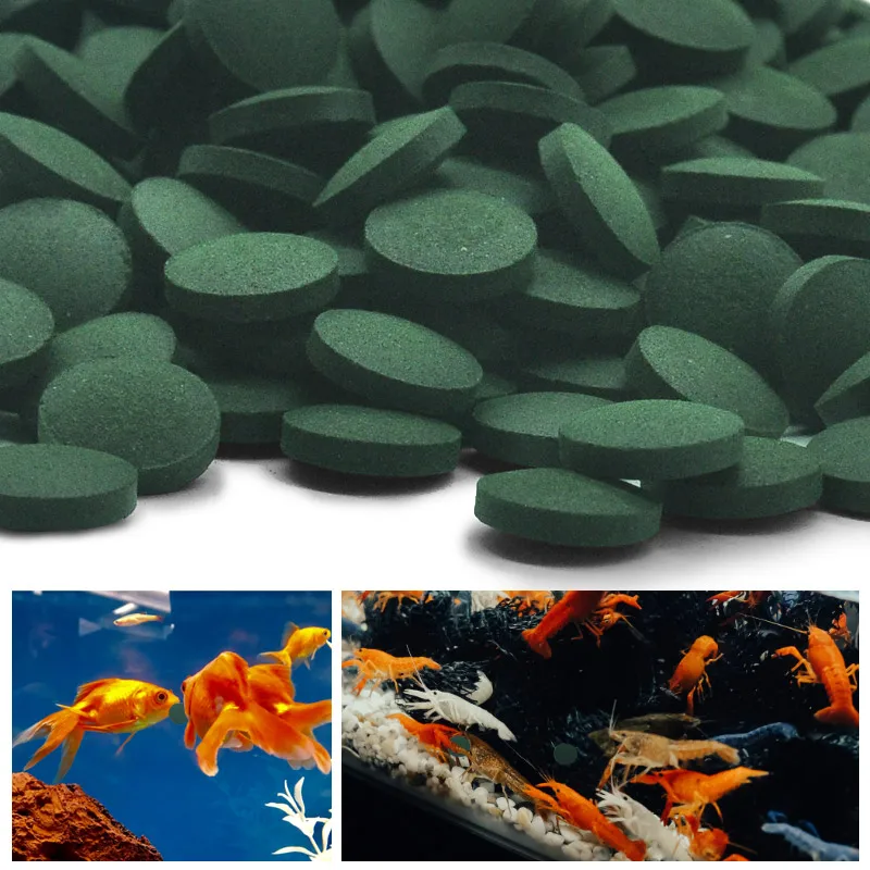 100 Stück hochreine Spirulina- – Aquarium Fish Holiday Food Bewertung und Preis