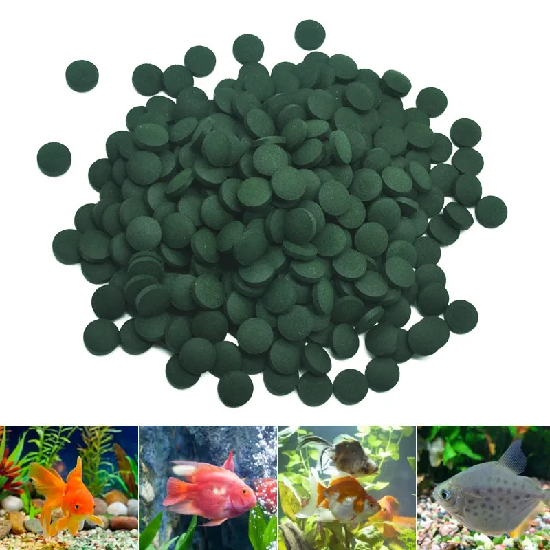 100 Stück hochreine Spirulina- – Aquarium Fish Holiday Food Bewertung und Preis