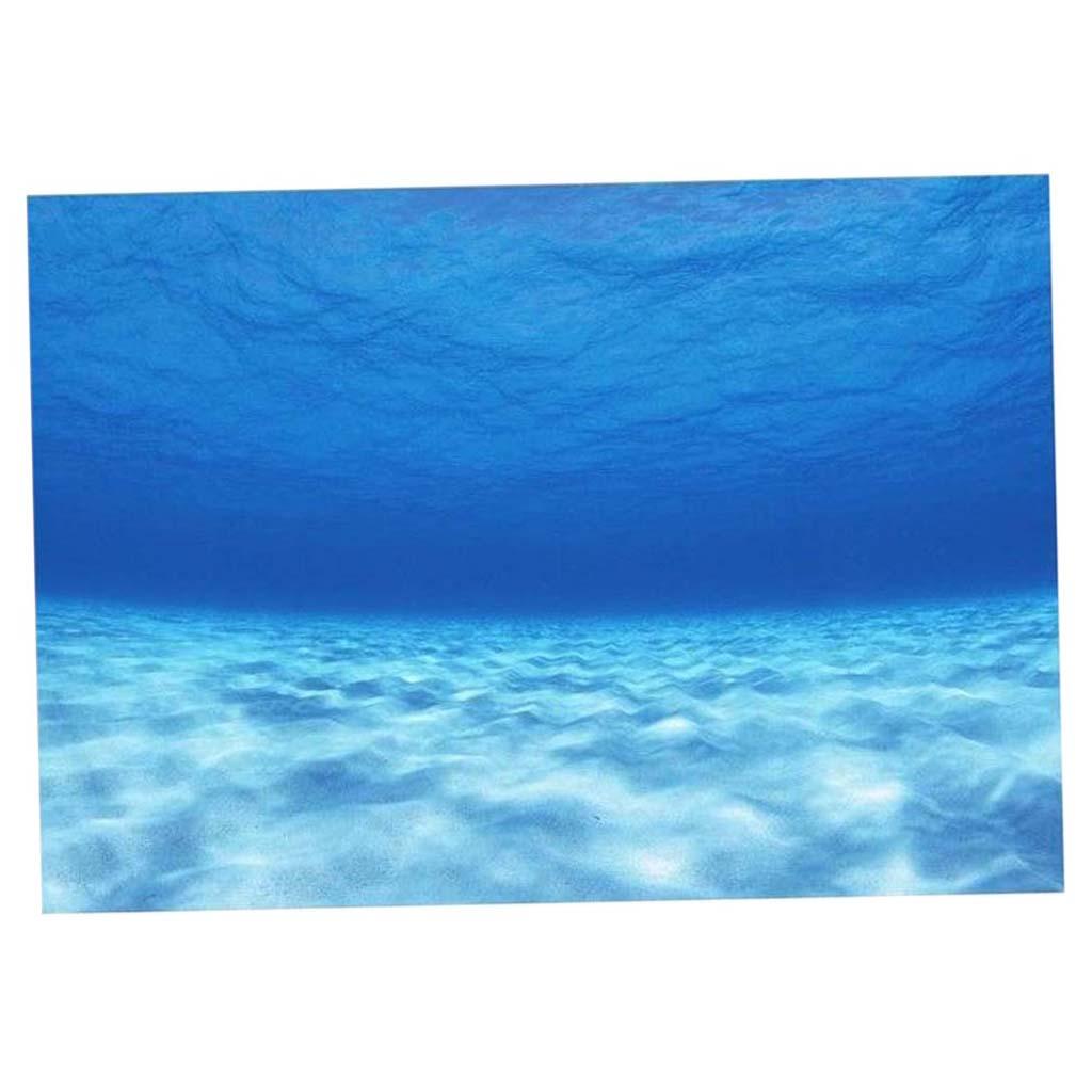 Aquarium Hintergrund Aquarium  – Fish In Aquarium Picture Bewertung und Preis