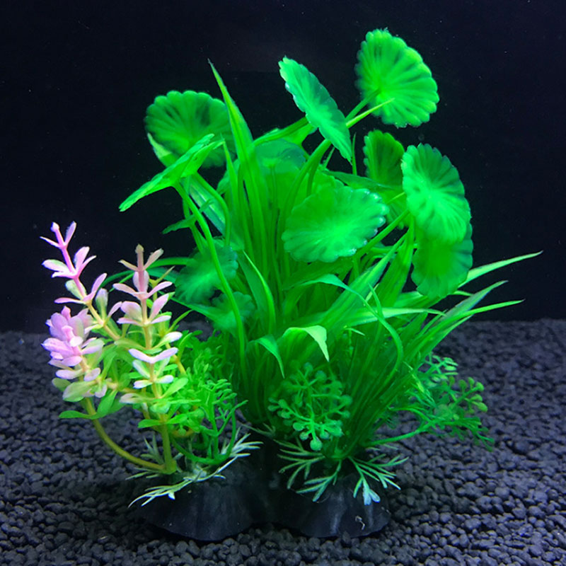 Aquarium dekoration eine vielz – Aquarium Fish Variety Bewertung und Preis