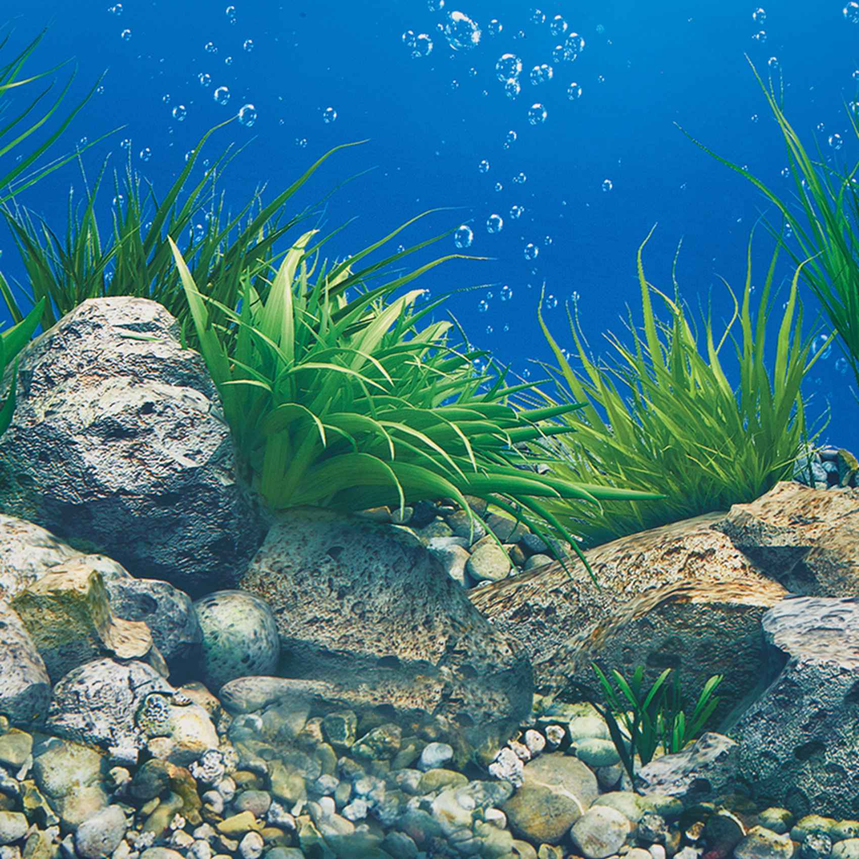 A77I Aquarium Hintergrund Papi – Fish In Aquarium Picture Bewertung und Preis
