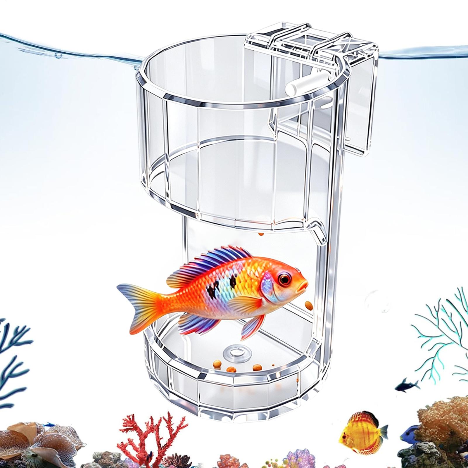 Transparente Futterbox für Aqu – Aquarium Fish Holiday Food Bewertung und Preis
