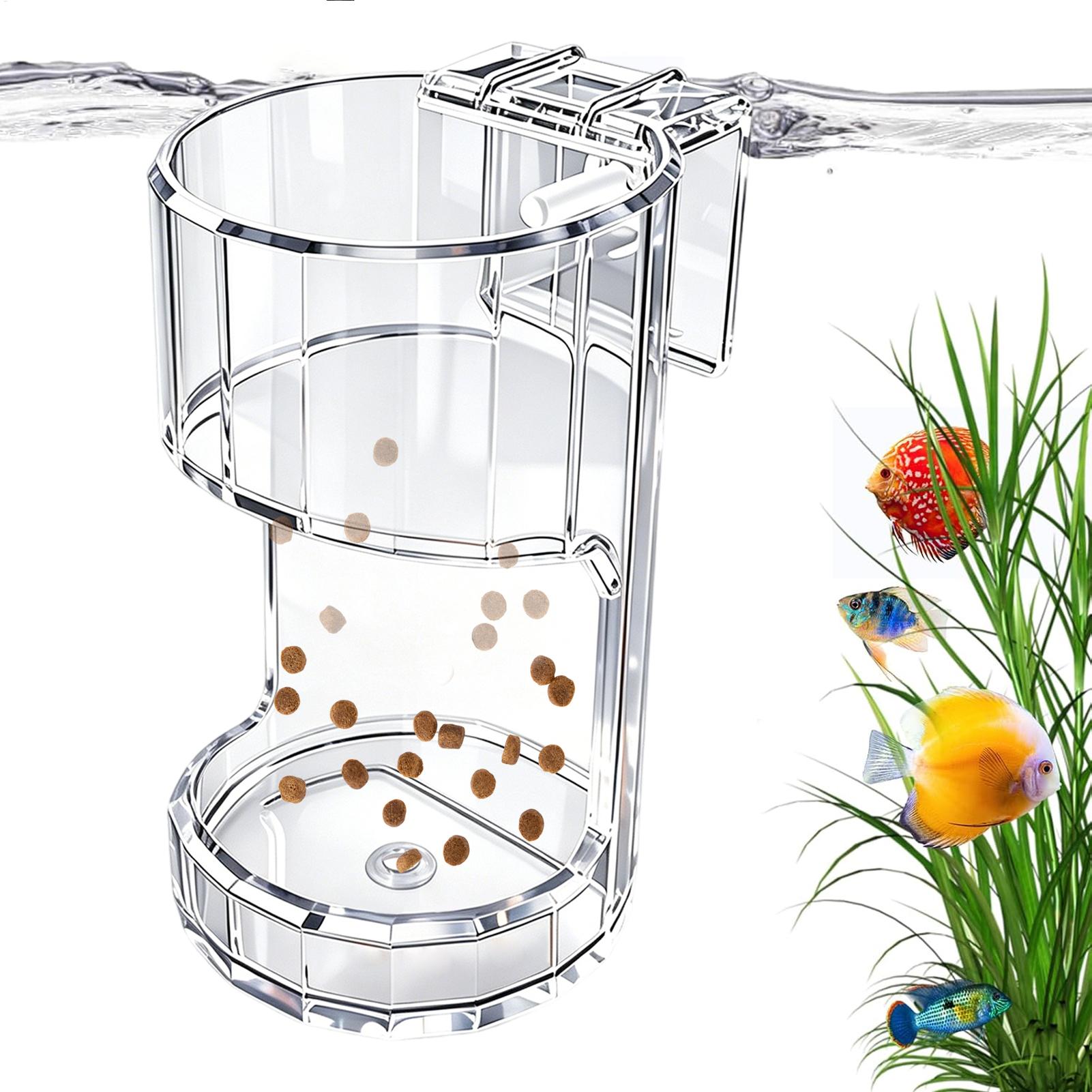 Transparente Futterbox für Aqu – Aquarium Fish Holiday Food Bewertung und Preis