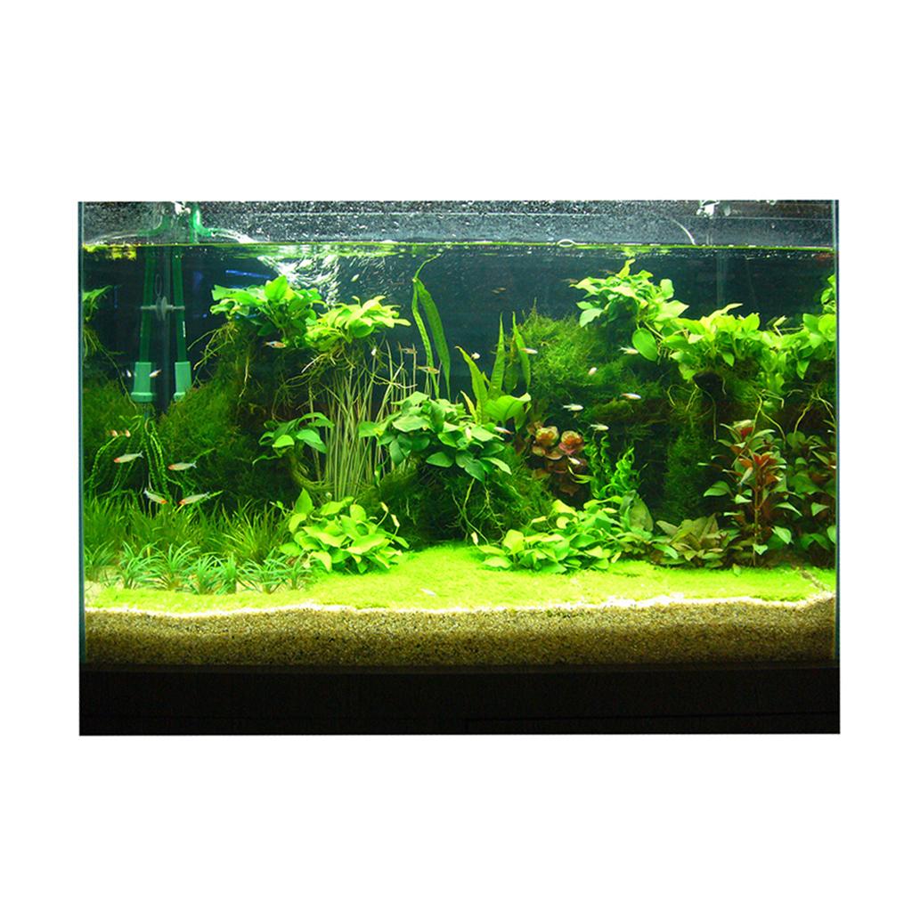 3D-Aquarium-Hintergrund-Aufkle – Fish In Aquarium Picture Bewertung und Preis