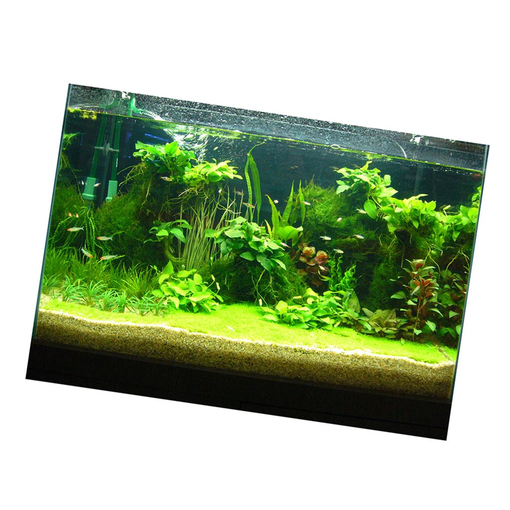 3D-Aquarium-Hintergrund-Aufkle – Fish In Aquarium Picture Bewertung und Preis
