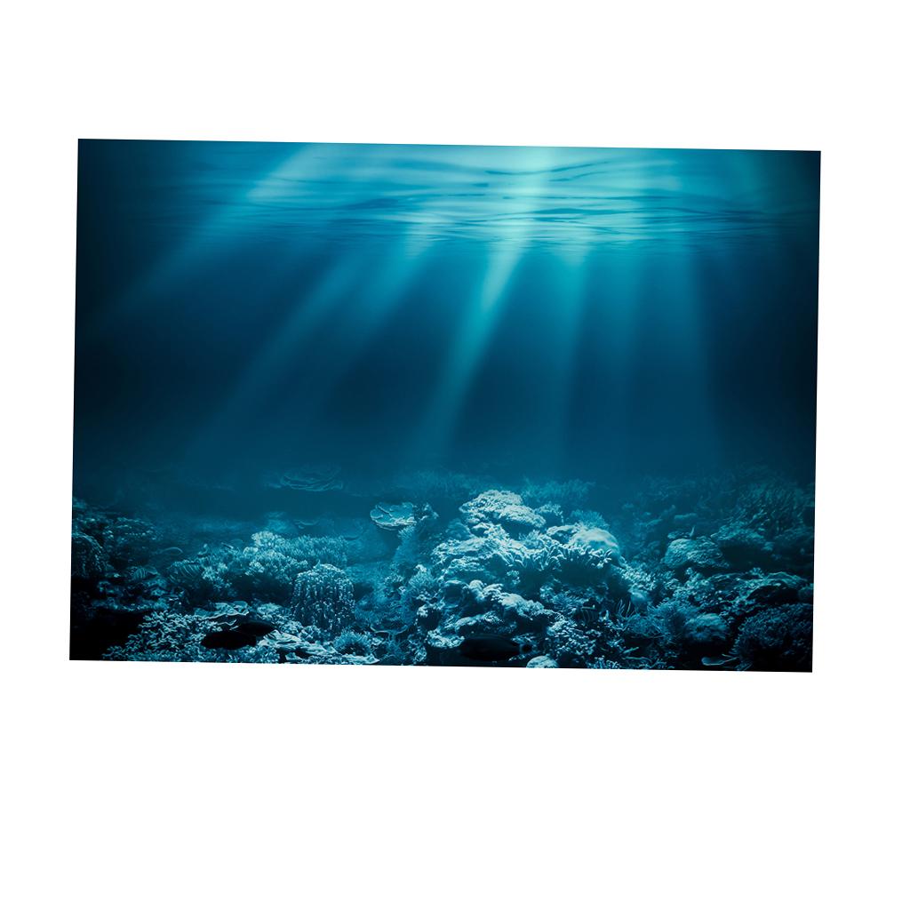Aquarium-Klebefolie PVC 3D HD  – Fish In Aquarium Picture Bewertung und Preis