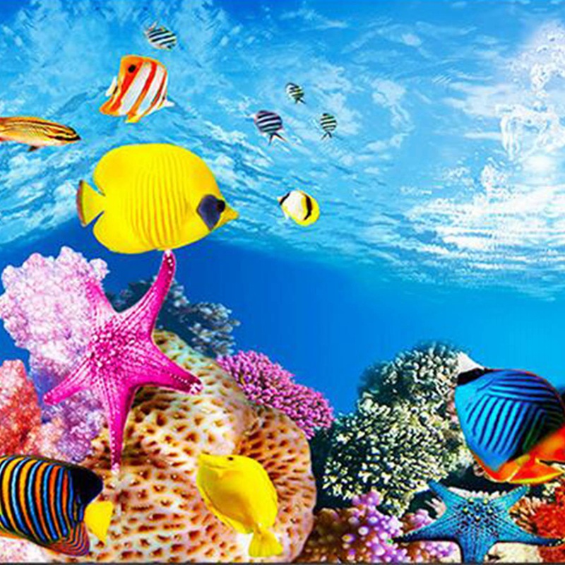 BAAU Aquarium Hintergrund Papi – Fish In Aquarium Picture Bewertung und Preis