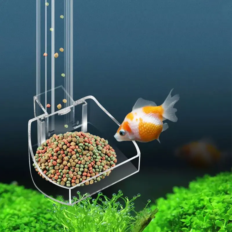 Aquarium-Futterrohr aus Acryl. – Aquarium Fish Variety Bewertung und Preis