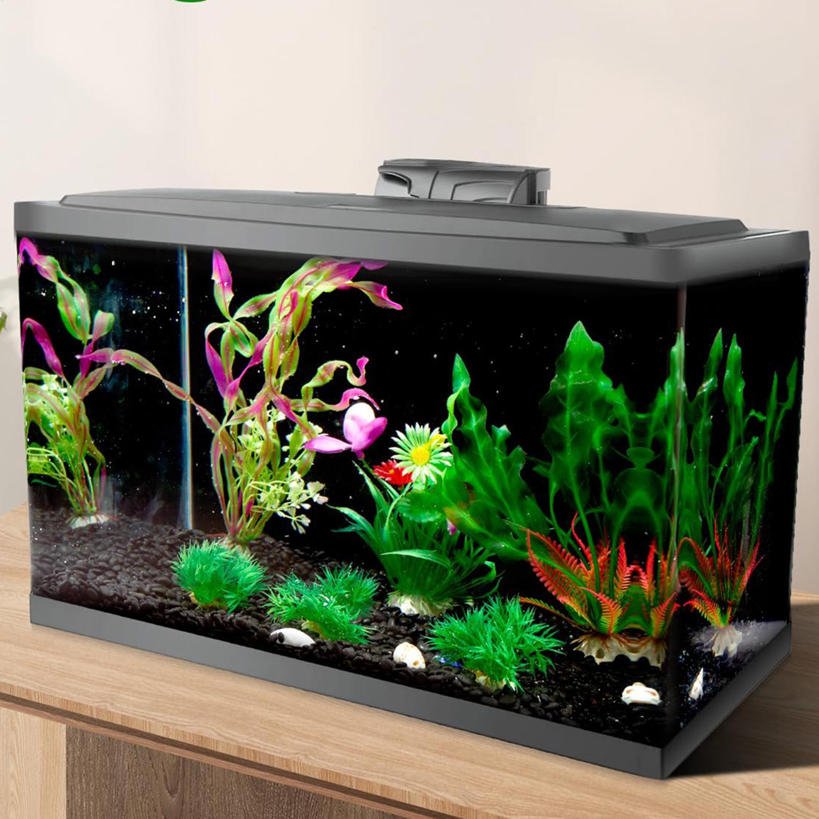 Schwarzes Aquarium-Hintergrund – Fish In Aquarium Picture Bewertung und Preis