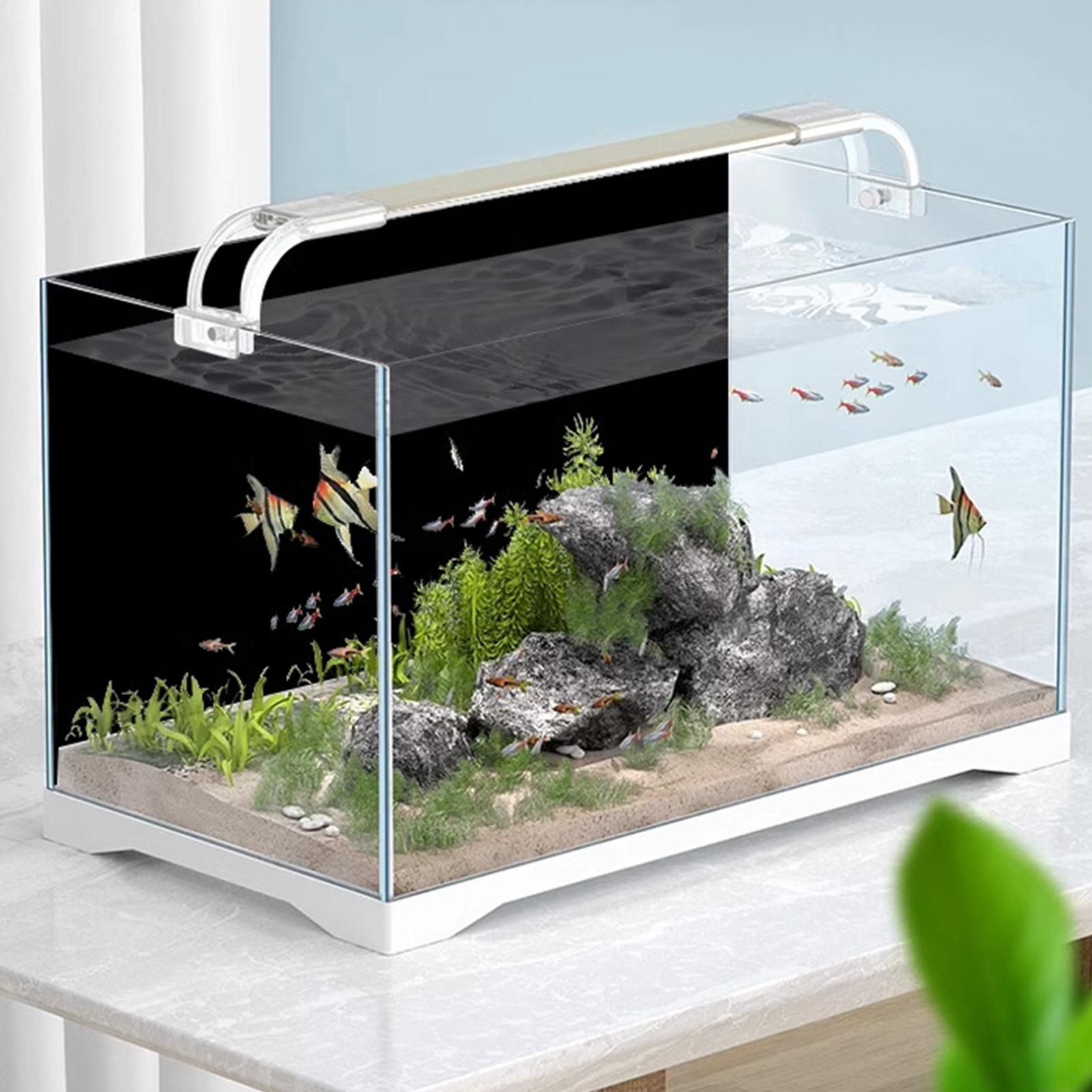 Schwarzes Aquarium-Hintergrund – Fish In Aquarium Picture Bewertung und Preis