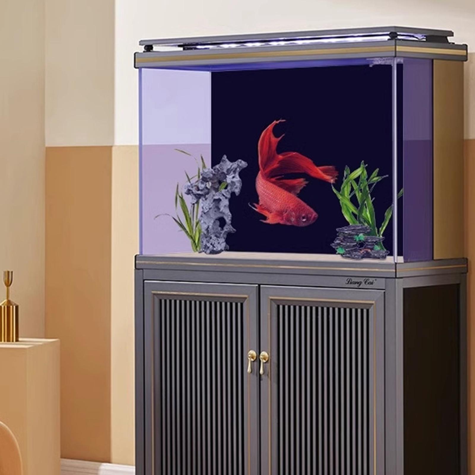 Schwarzes Aquarium-Hintergrund – Fish In Aquarium Picture Bewertung und Preis