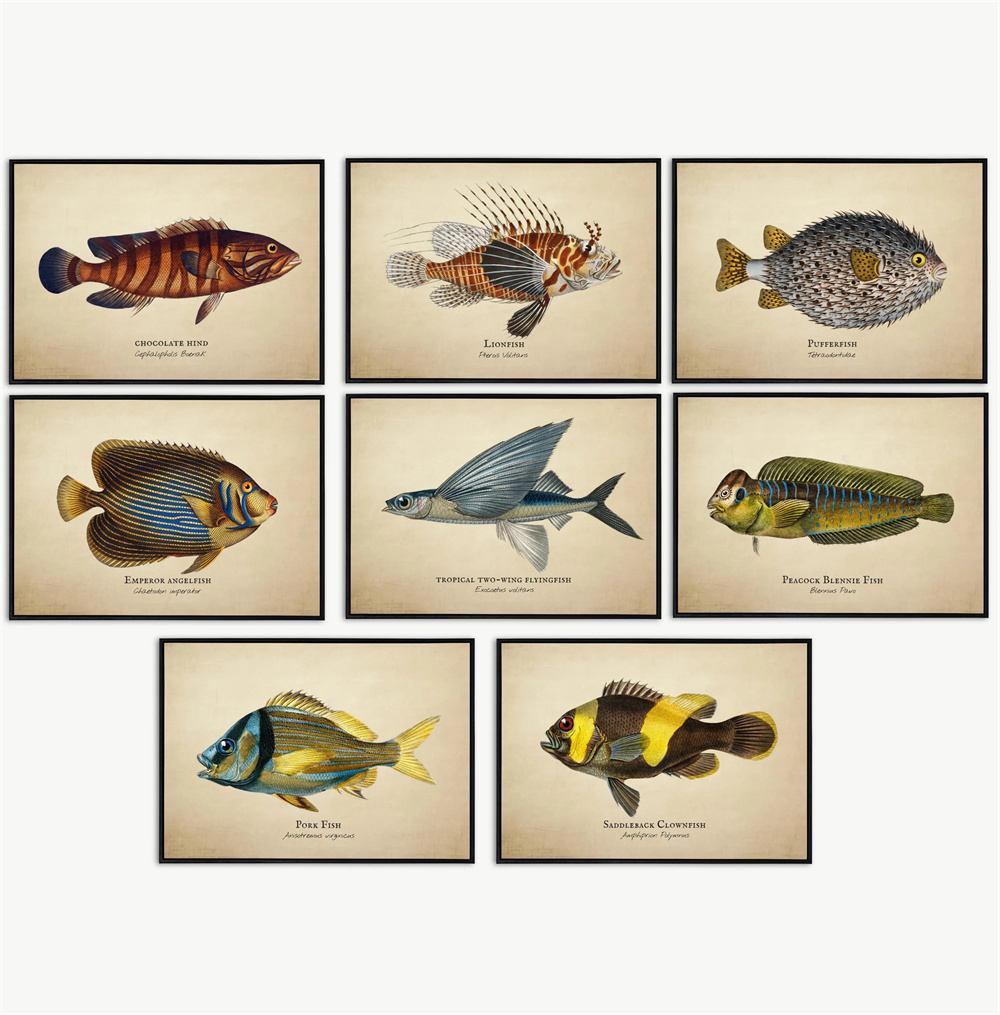 Vintage-Bilder, tropische Fisc – Fish In Aquarium Picture Bewertung und Preis