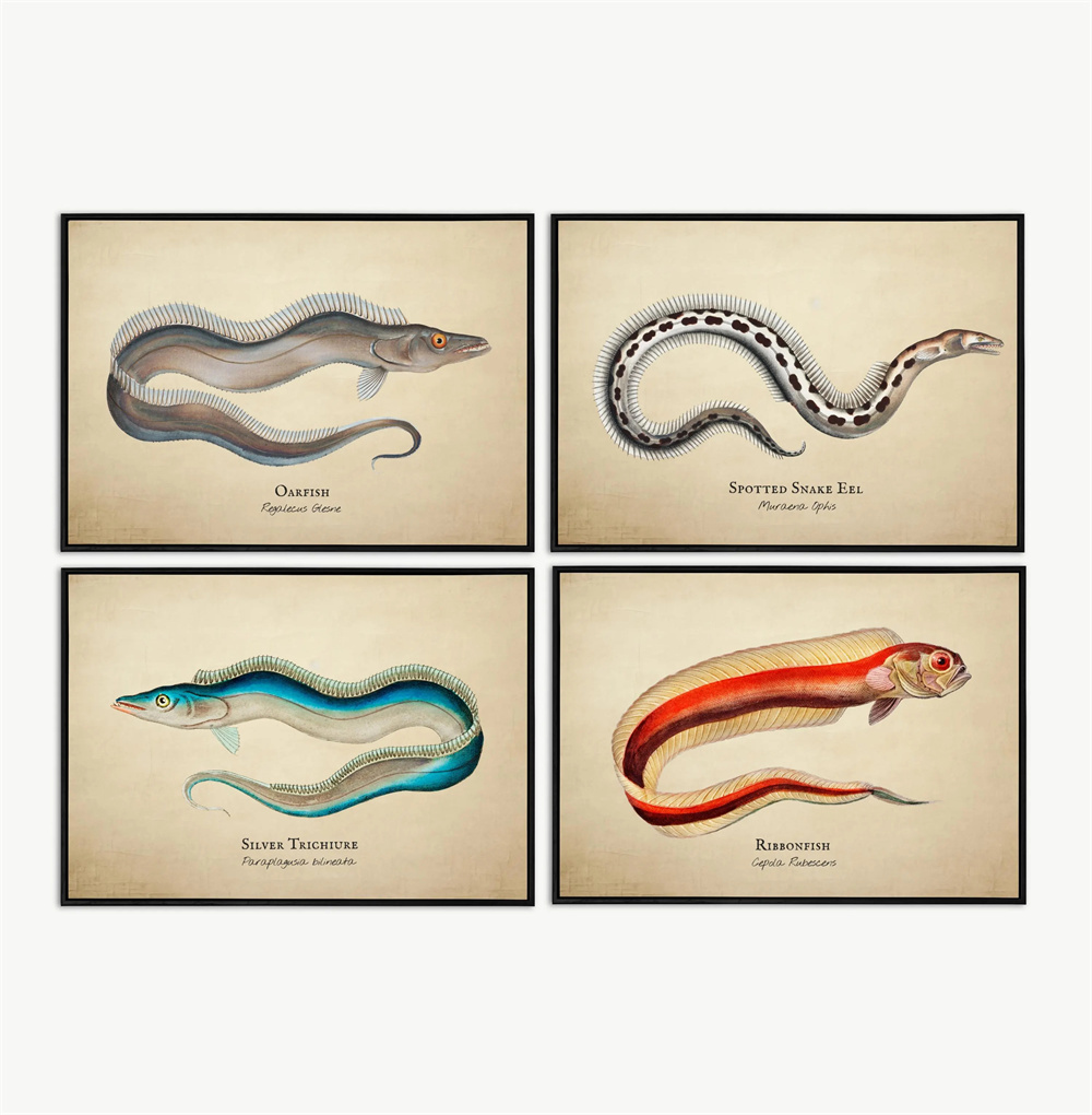 Vintage-Bilder, tropische Fisc – Fish In Aquarium Picture Bewertung und Preis
