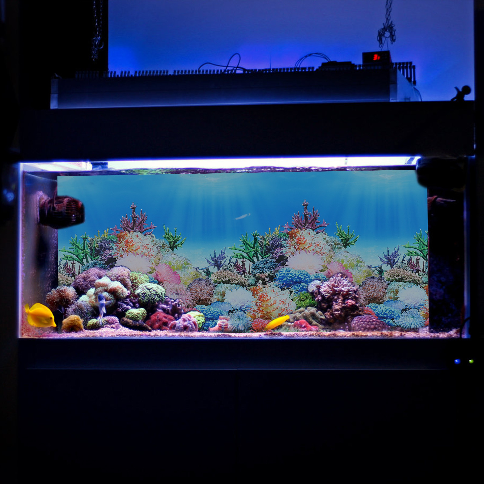 Aquarium-Dekor Hintergrundpapi – Fish In Aquarium Picture Bewertung und Preis