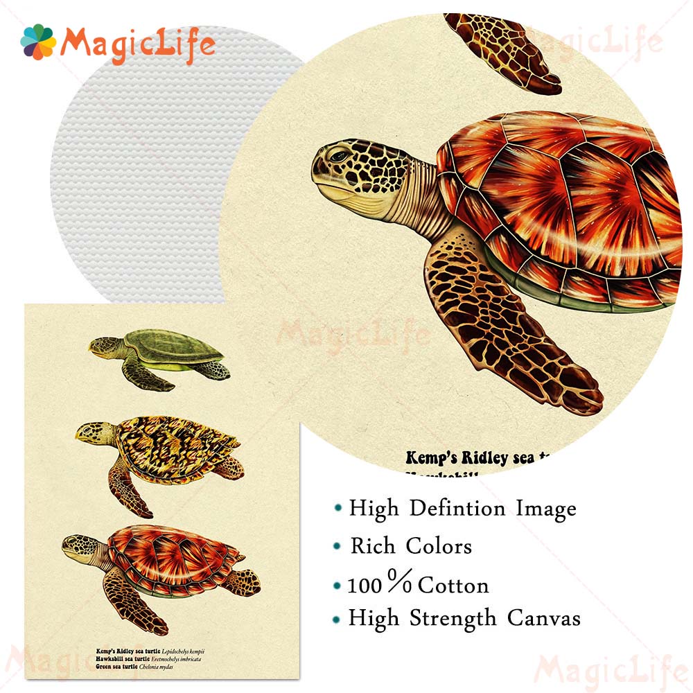 Vintage Seefisch Schildkröte H – Fish In Aquarium Picture Bewertung und Preis