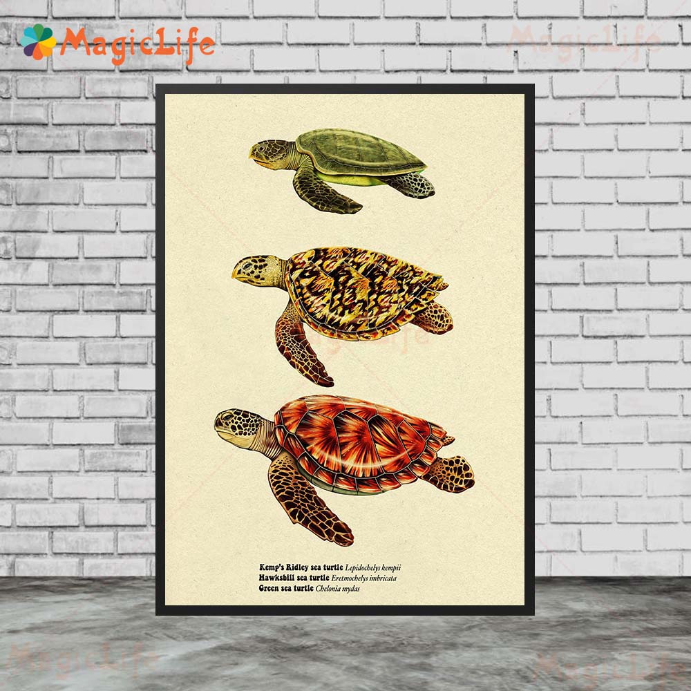 Vintage Seefisch Schildkröte H – Fish In Aquarium Picture Bewertung und Preis