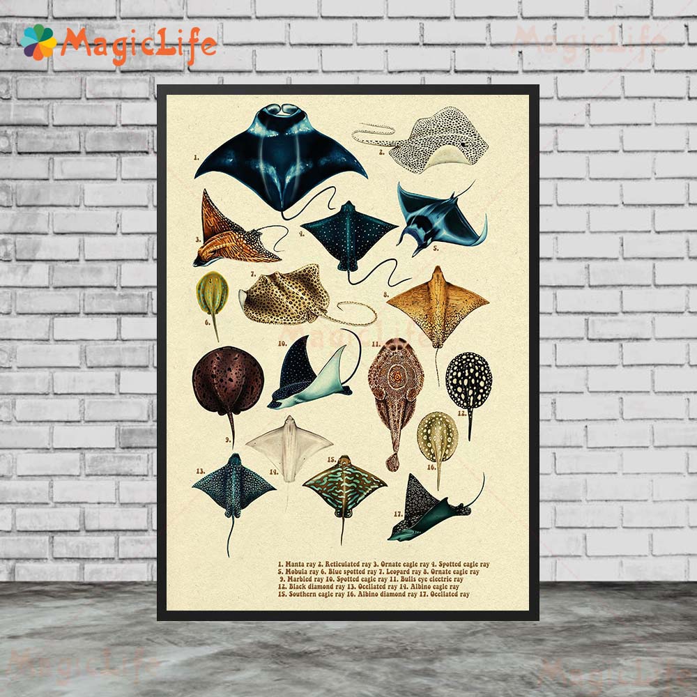 Vintage Seefisch Schildkröte H – Fish In Aquarium Picture Bewertung und Preis