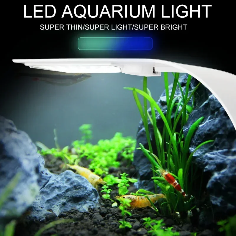 Ultradünnes LED-Aquariumlicht, – Fish In Aquarium Picture Bewertung und Preis
