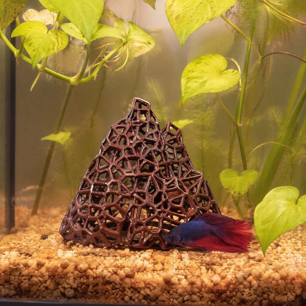 Aquarium-Landschaftsdekoration – Fish In Aquarium Picture Bewertung und Preis