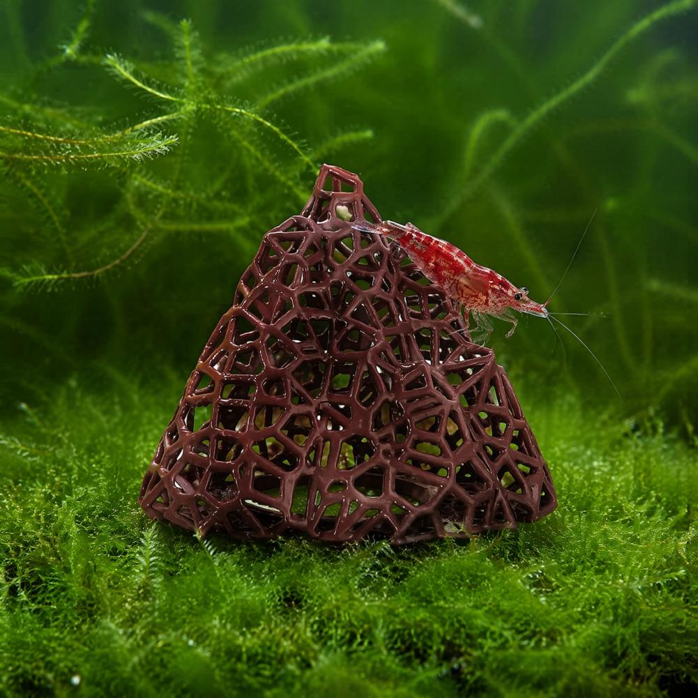 Aquarium-Landschaftsdekoration – Fish In Aquarium Picture Bewertung und Preis
