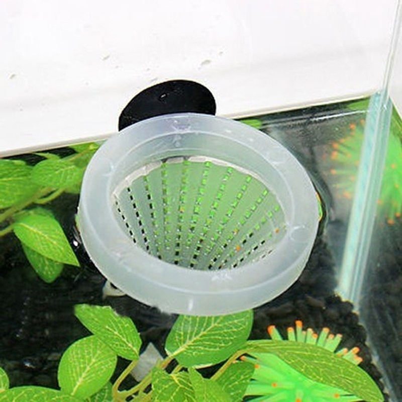 Aquarium Red Worm Cone Feeding – Aquarium Fish Holiday Food Bewertung und Preis