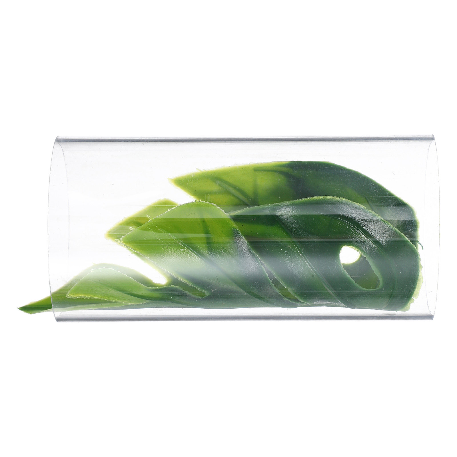 Transparenter Tunnel für Betta – Fish Aquarium Youtube Relaxing Bewertung und Preis