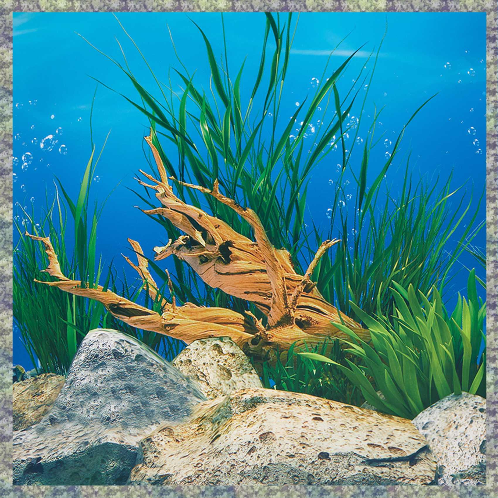 WON Aquarium Hintergrund Papie – Fish In Aquarium Picture Bewertung und Preis