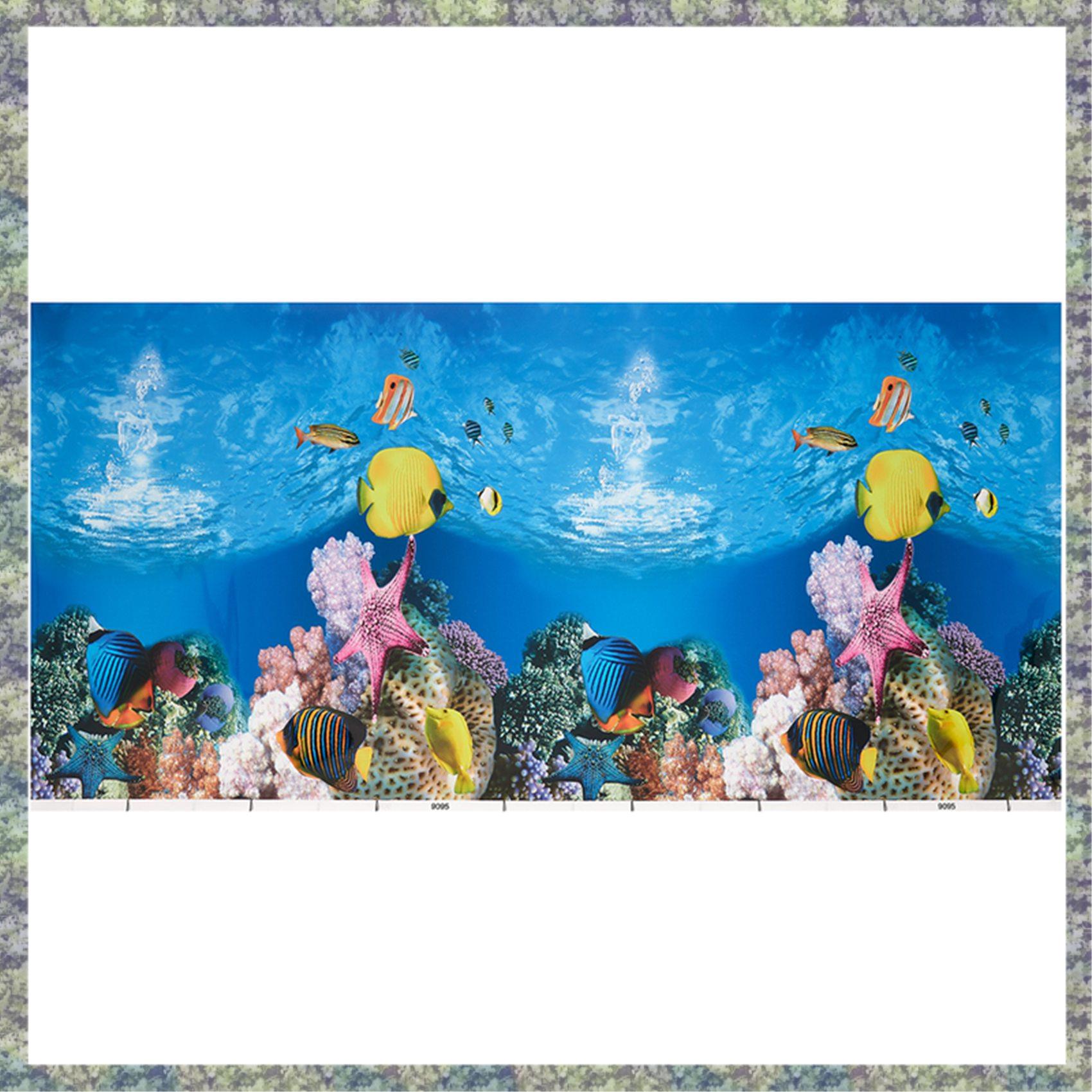 WON Aquarium Hintergrund Papie – Fish In Aquarium Picture Bewertung und Preis