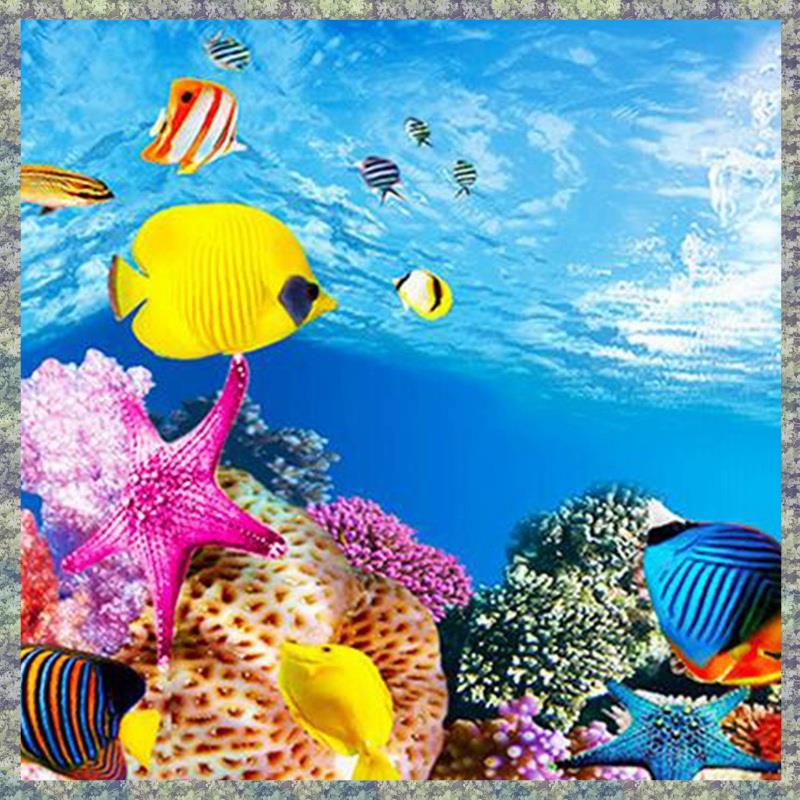 WON Aquarium Hintergrund Papie – Fish In Aquarium Picture Bewertung und Preis