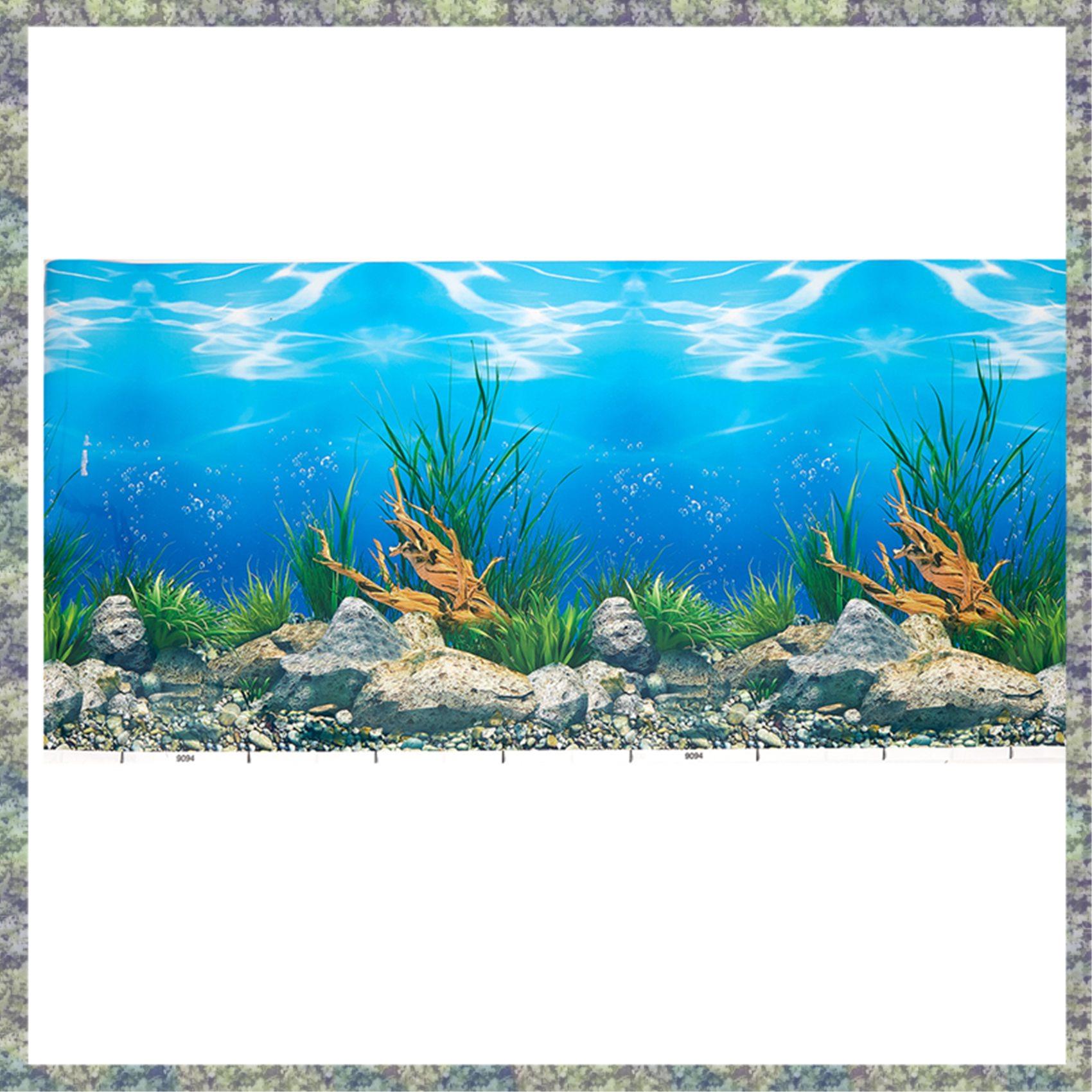 WON Aquarium Hintergrund Papie – Fish In Aquarium Picture Bewertung und Preis